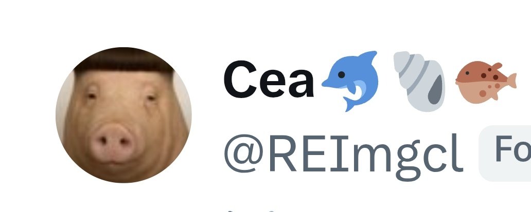 Your Queen tweet media