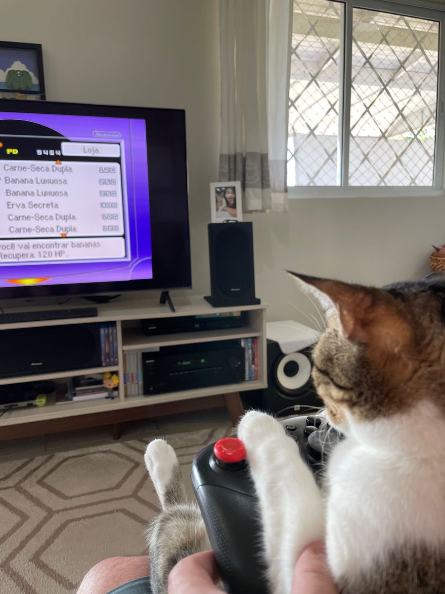 luanda_smile's tweet photo. Fazem 17 dias que perdi a primeira amiga que fiz desde que mudei de estado.
Minha gatinha, minha filhinha…
Dormia abraçada comigo, me fazia companhia.
Foram 4 anos com a gata mais carinhosa que eu já vi.
Agora há apenas um vazio na casa
Não tem mais graça https://t.co/uUT5TdsK5z