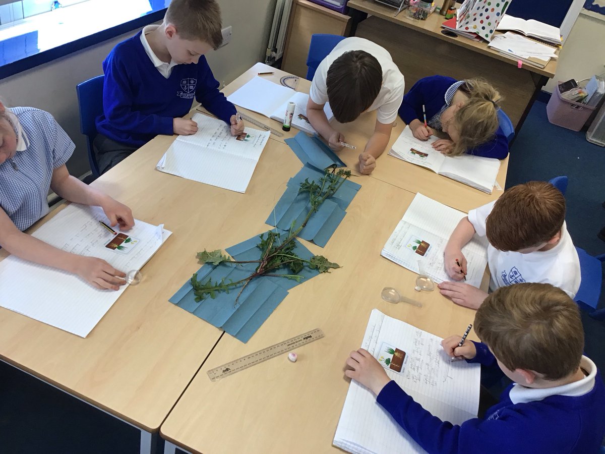 Year 3 @ Much Woolton tweet media