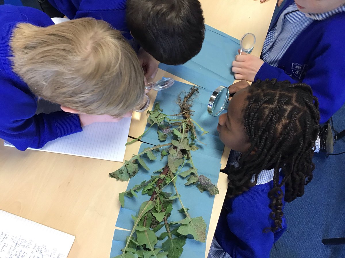 Year 3 @ Much Woolton tweet media