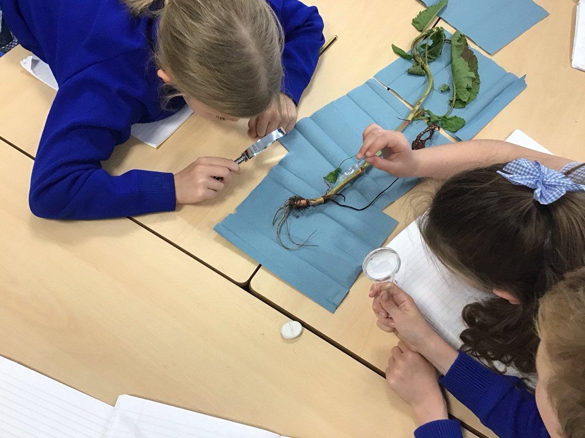 Year 3 @ Much Woolton tweet media