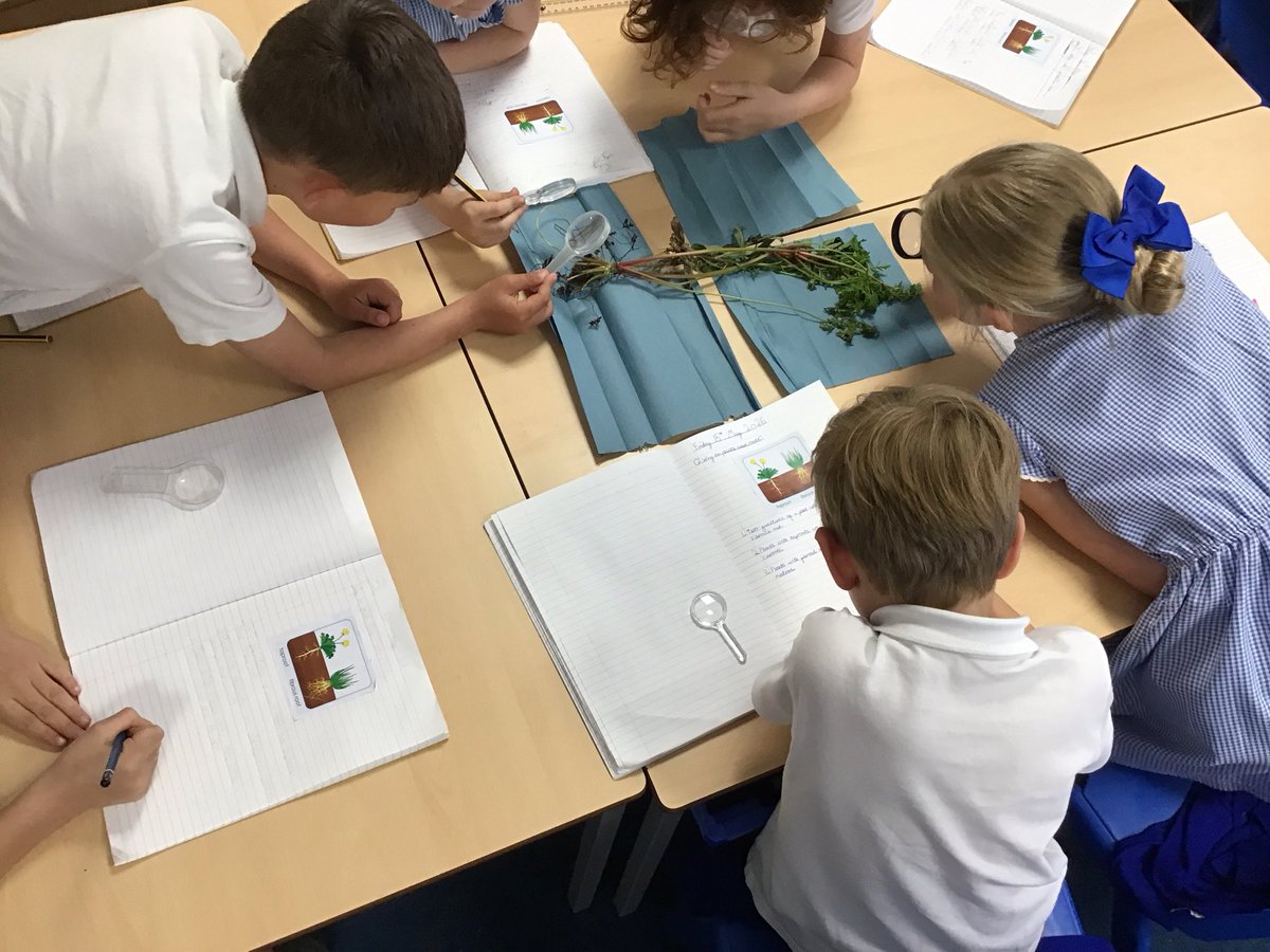 Year 3 @ Much Woolton tweet media
