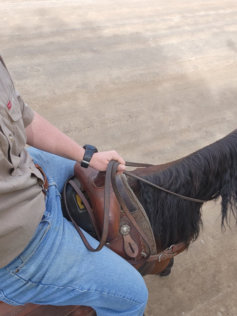 ShireCowboy's tweet photo. been working at my friends barn in CO this week while crashing on their couch, headed to Montana tmrw https://t.co/0jIEp8PRs5