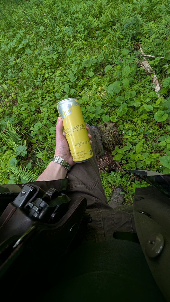 чики 🏕️ tweet media