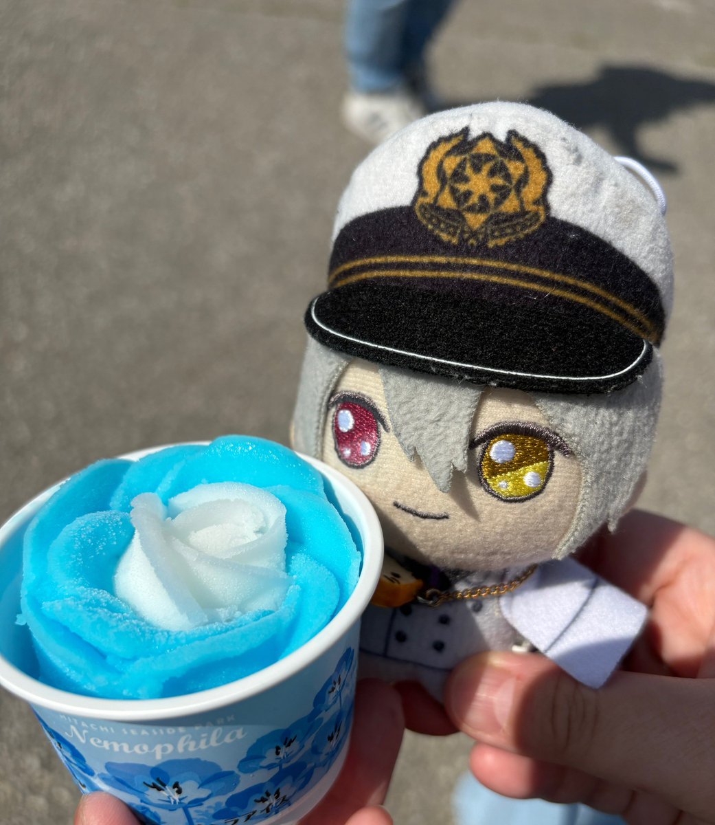 cfrthot's tweet photo. ネモフィラ号ってやつに乗ってお花を見てきたよ アイスも食べた！
 #金曜ぬいNight
#まほやく_ぬい https://t.co/ePmWShMQE2