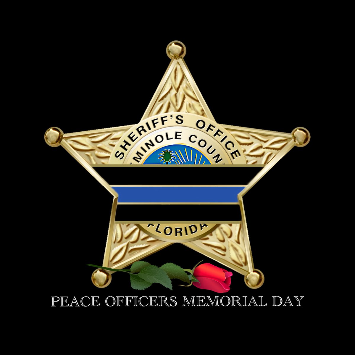 Seminole County S.O. tweet media