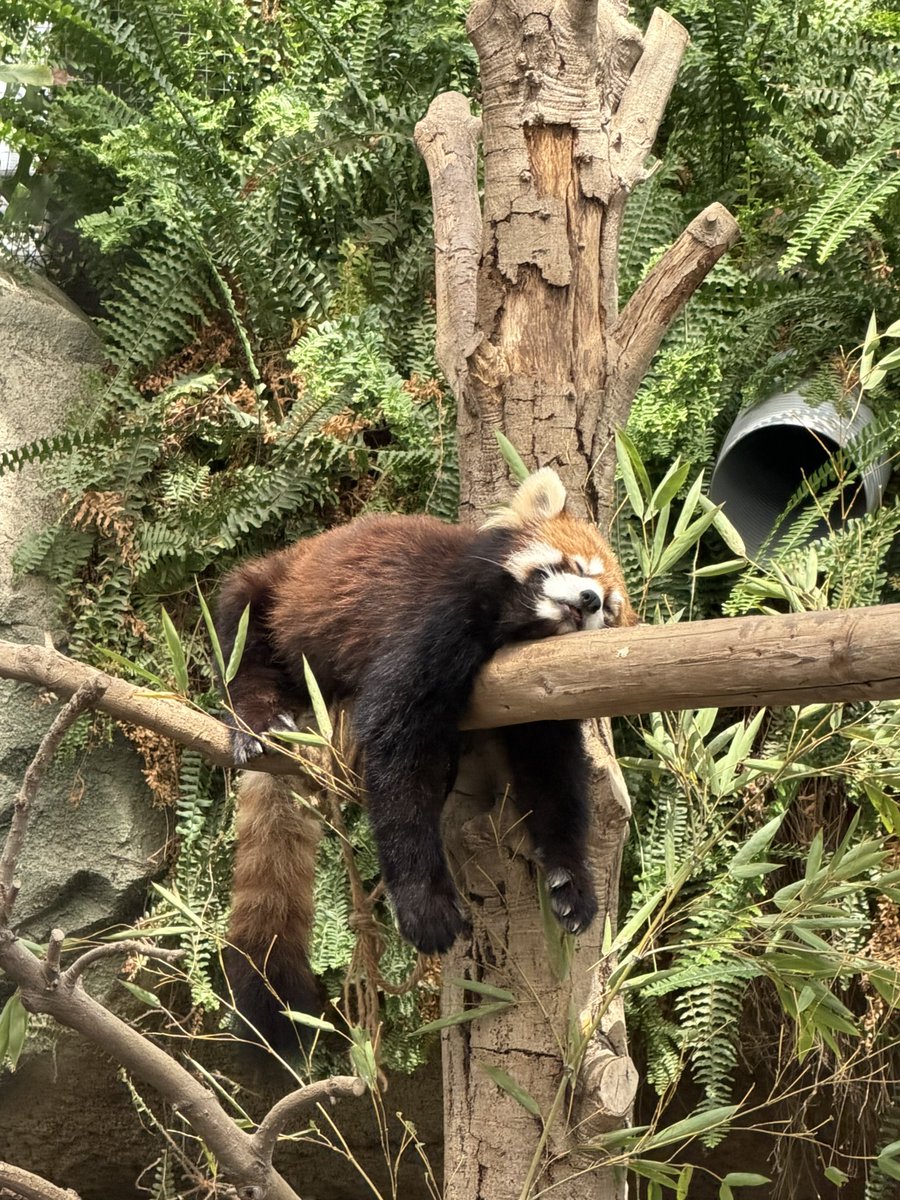 hrk_2's tweet photo. どうぶつって癒されるね😺 https://t.co/4o2zyJsmnB