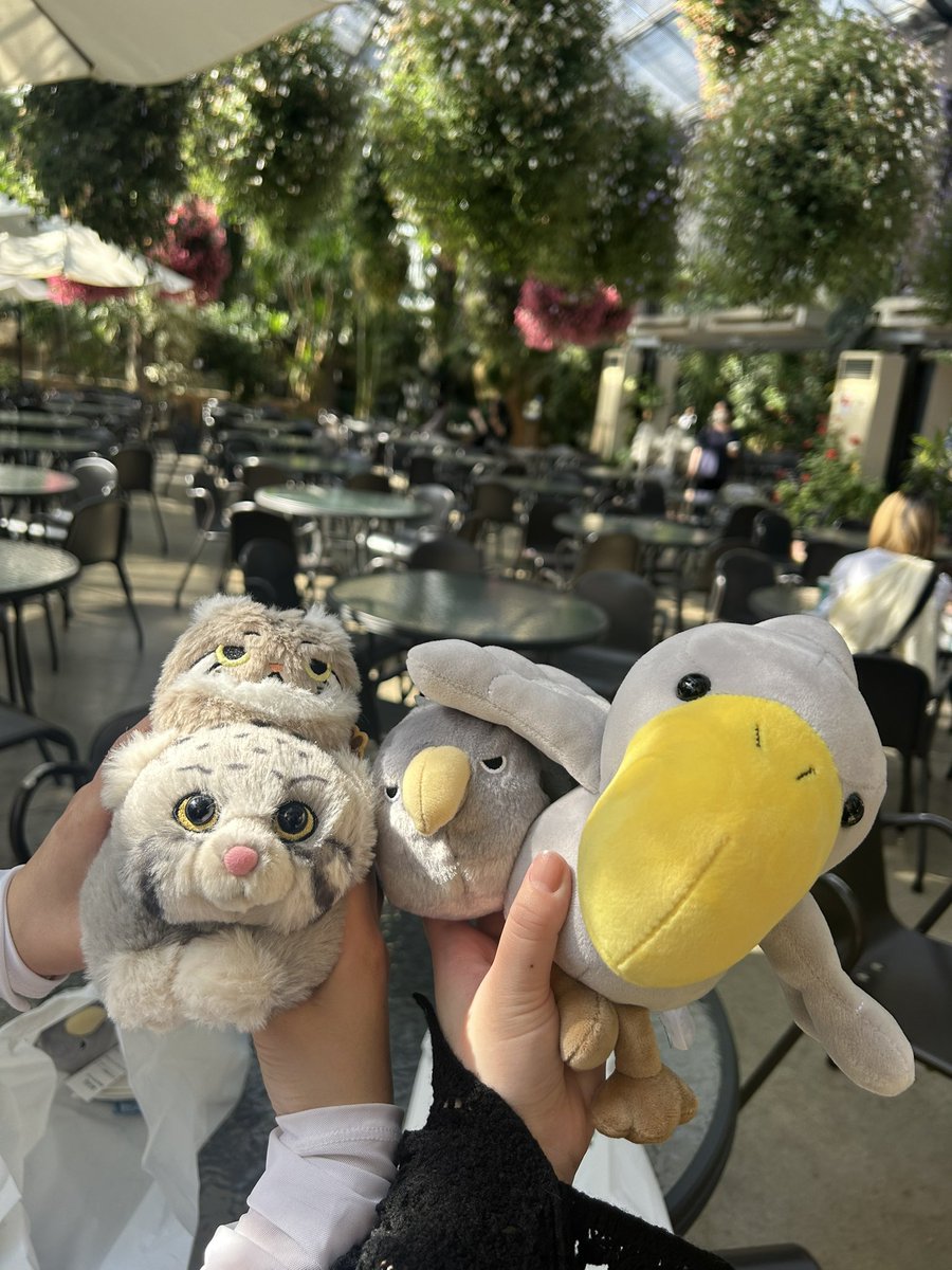 hrk_2's tweet photo. どうぶつって癒されるね😺 https://t.co/4o2zyJsmnB