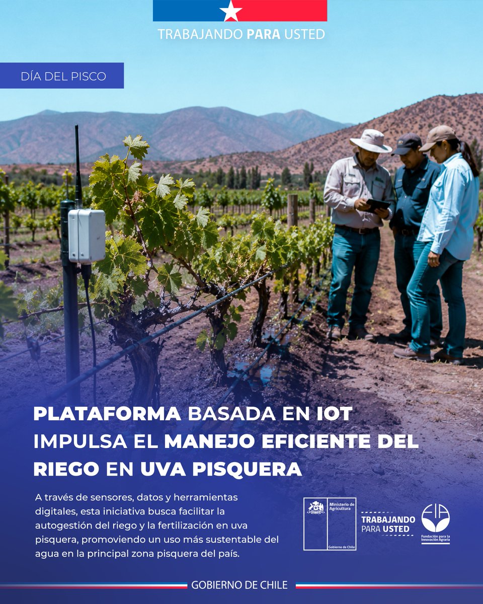 FIA_Chile's tweet photo. 🍇 En el marco del Día del Pisco, destacamos una iniciativa FIA que mira esta industria desde su origen: el trabajo que ocurre en los parronales de uva pisquera. https://t.co/yxmStBENmq
