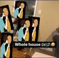 shady detch facts 🐈‍⬛🐉 tweet media