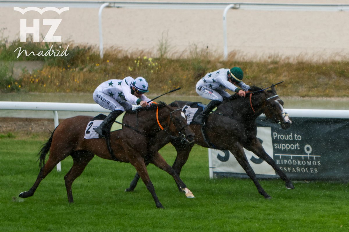Hipódromo de La Zarzuela tweet media