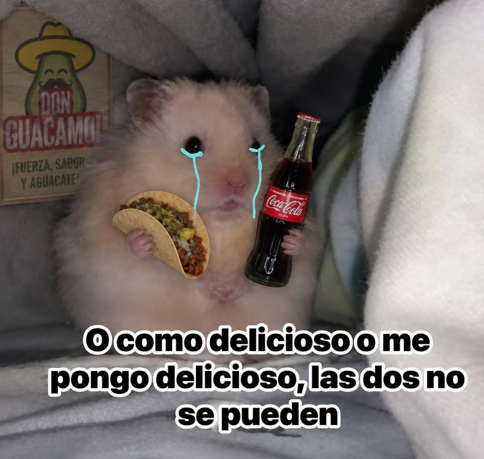 Rafa Hernandez tweet media