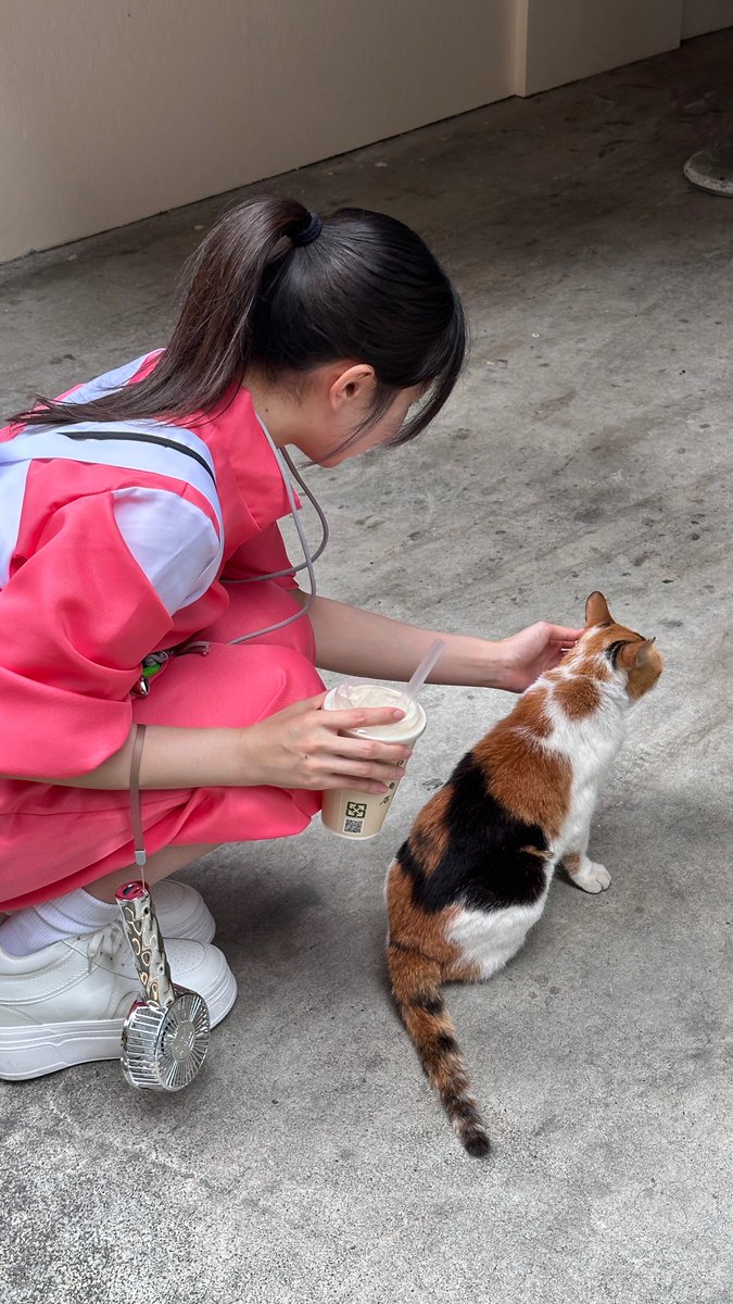 のちたろうは台湾へゆく✈️ tweet media
