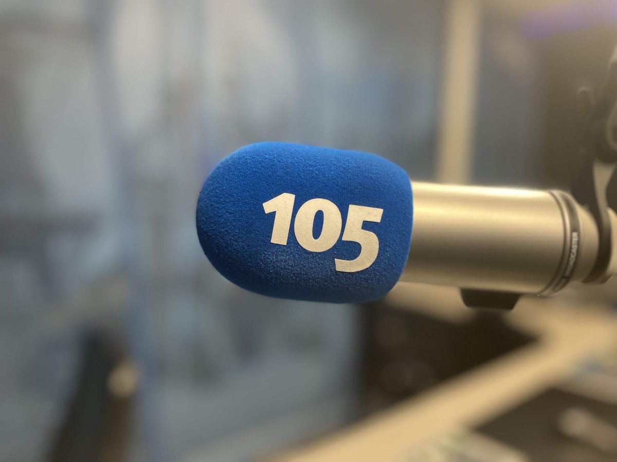 haarlem tweet media