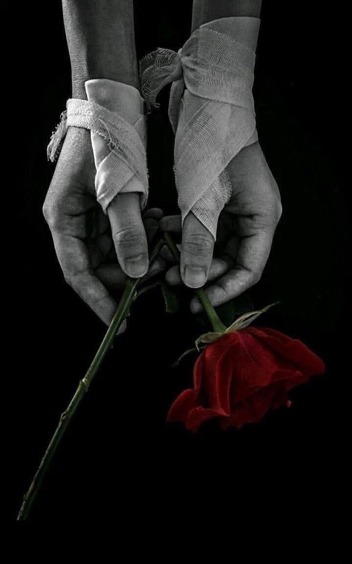 Elle _🌹♀️💙 tweet media