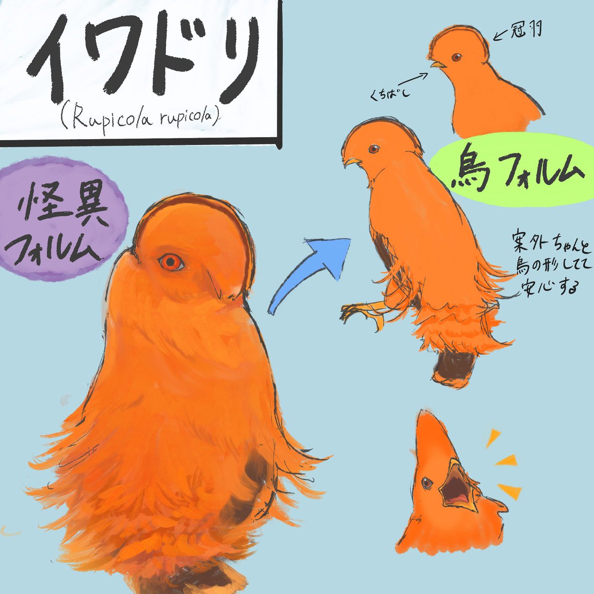 きんもく🥹 tweet media