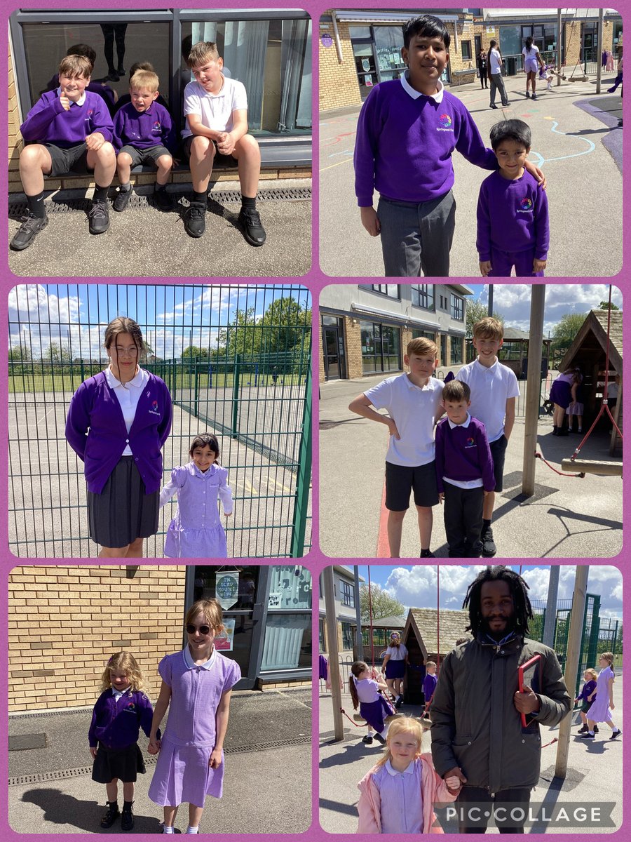 Springwell Reception tweet media