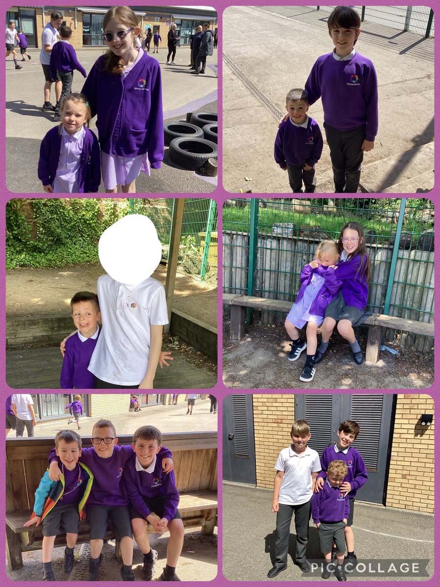 Springwell Reception tweet media