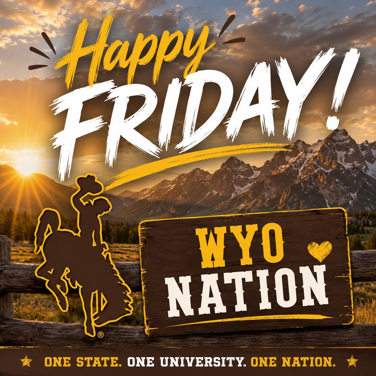 WyoNation Blog tweet media