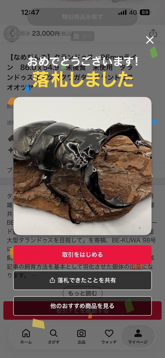 タランドゥス オウゴンオニの為にハイパーレイシ材買おうとしたら