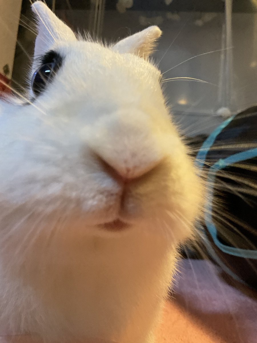 kimmukkibaby's tweet photo. 까까무땨 https://t.co/QedEyusaEx