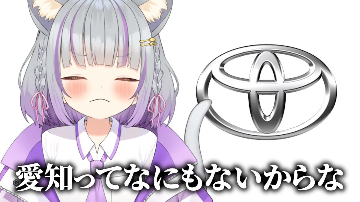 加猫のか🐈愛知の食いしん坊V tweet media