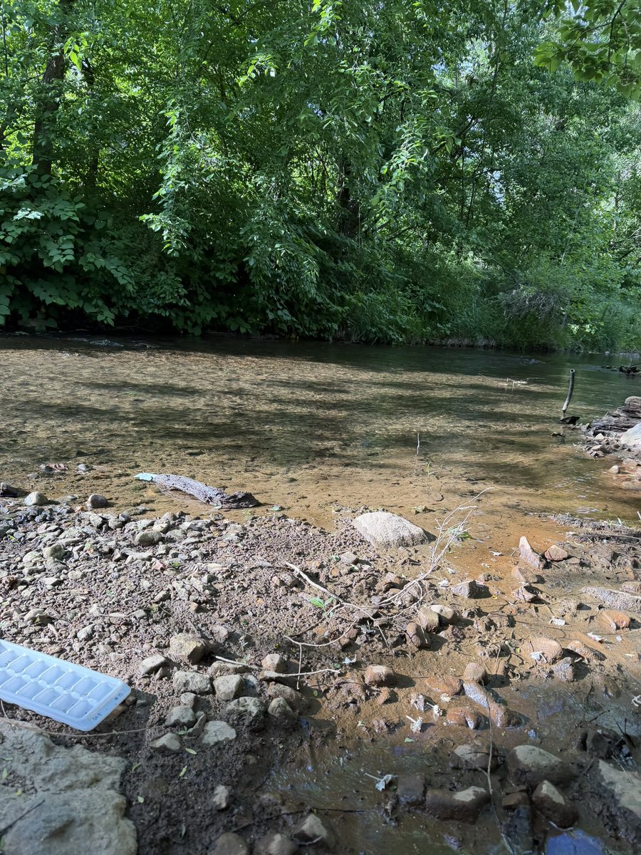 Look_its_Rhonda's tweet photo. Went stream monitoring yesterday. Another bad score. #saveourstreams https://t.co/1qMLxMnPOy