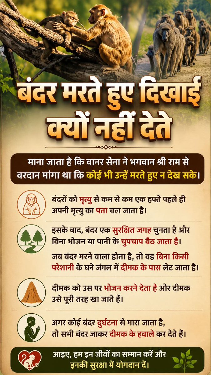 Ayush parmar tweet media