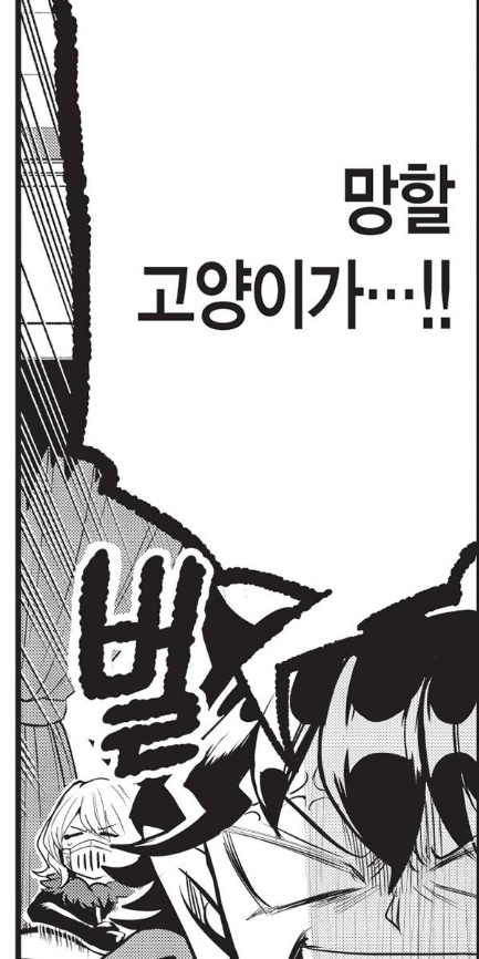 깨비 tweet media
