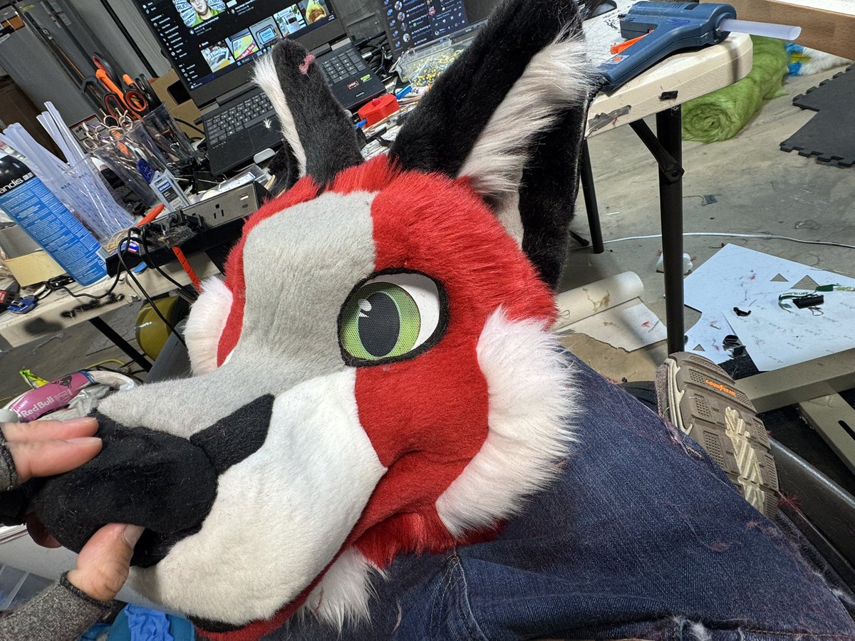 Rum Wolf tweet media