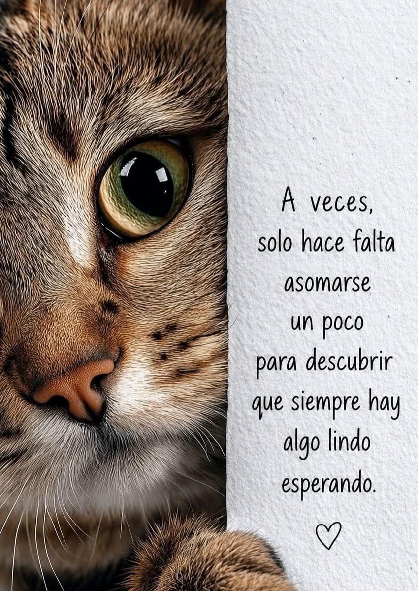YovyML's tweet photo. #BuenosDíasATodos  🤗☕️🌈
#FelizViernes a #ti 😊🎶🍰

#Viernes Sorprendeme!! https://t.co/BdBF5ANM7X