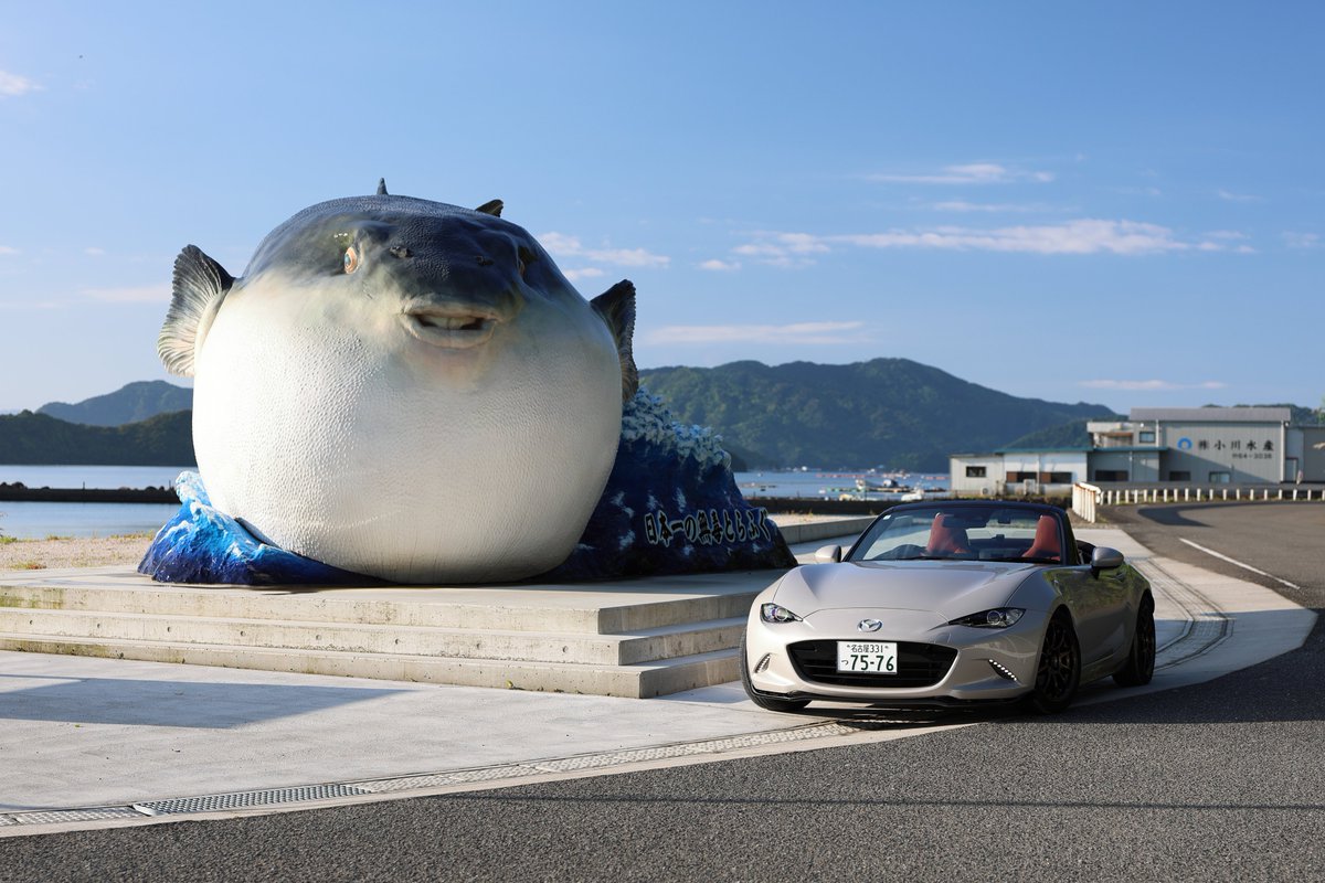 悠 tweet media