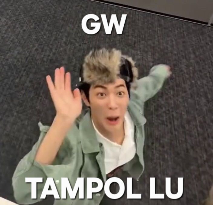 Bulu Kucing tweet media