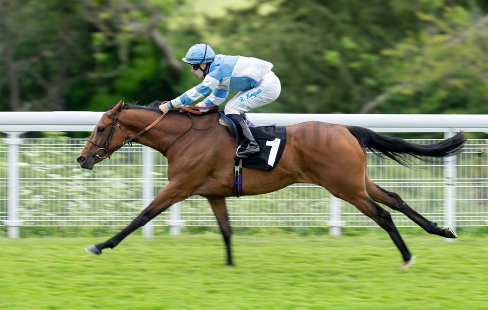 Racing Tips tweet media