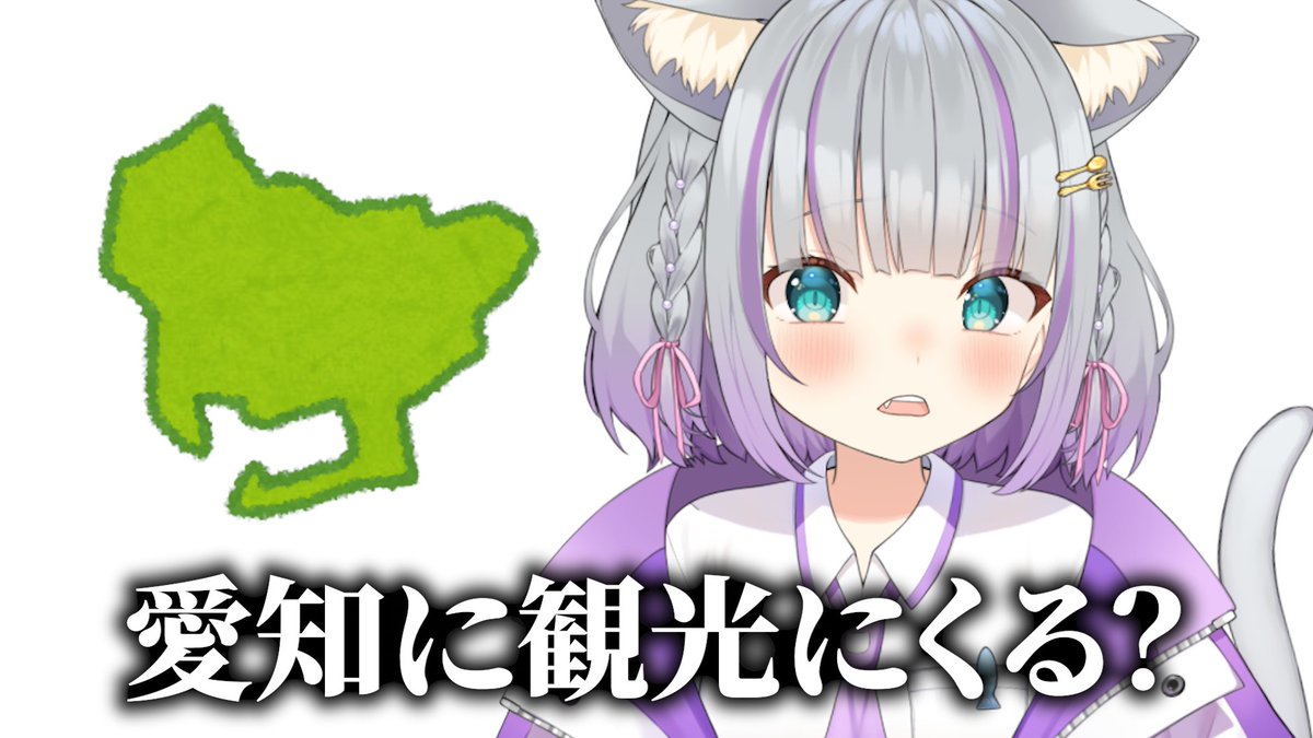 加猫のか🐈愛知の食いしん坊V tweet media