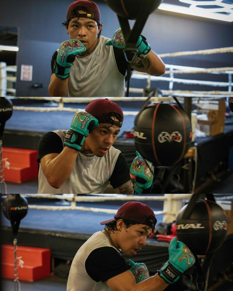 IVB Boxing tweet media