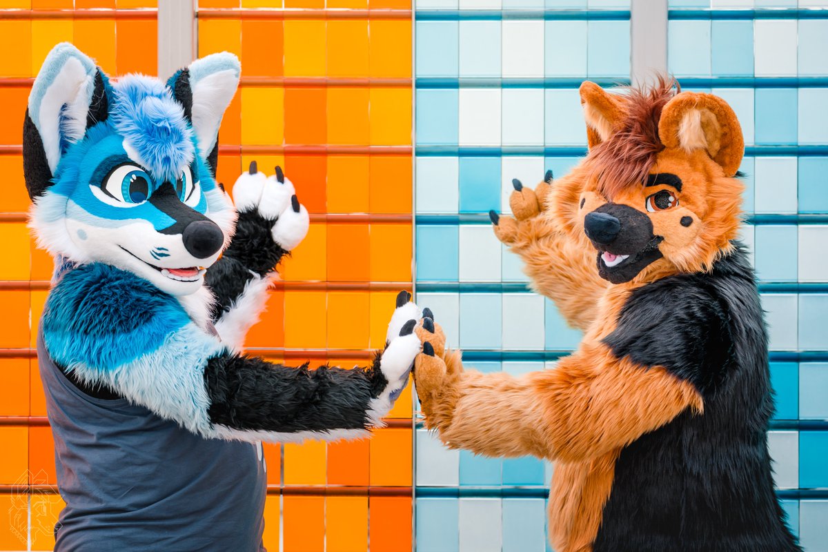 SDoggo97's tweet photo. 🔵 and 🟠, 🟠 and 🔵 on #FursuitFriday

🔵 @CiferJackal
🪡 @TheKarelia @Fionka_Fursuits
📸 @vlaaacek https://t.co/hBQgOaq4jp
