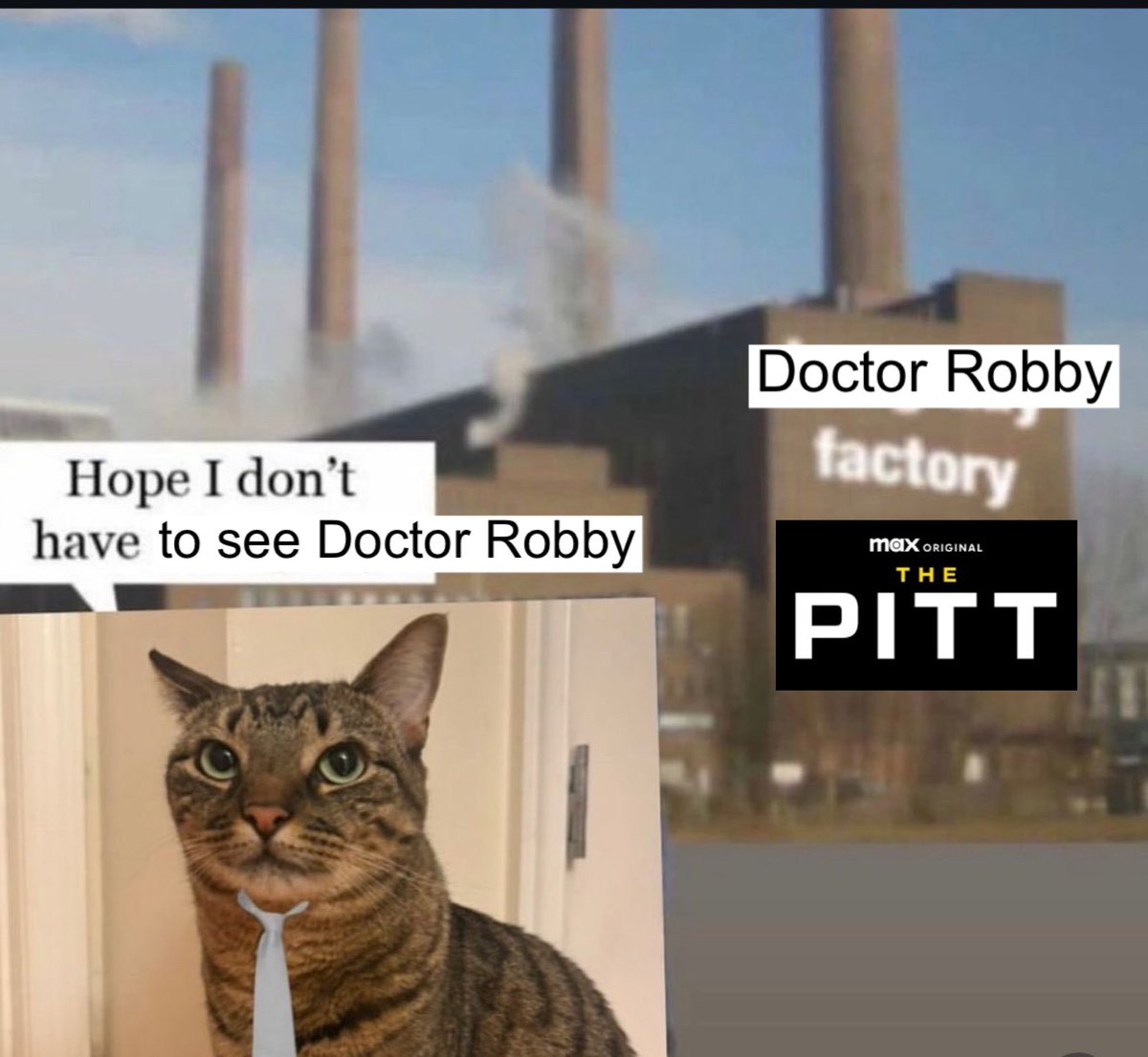the pitt med student⚕️ tweet media
