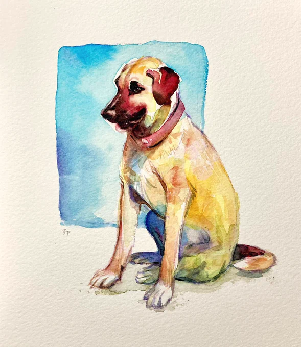 カラフルな犬たち