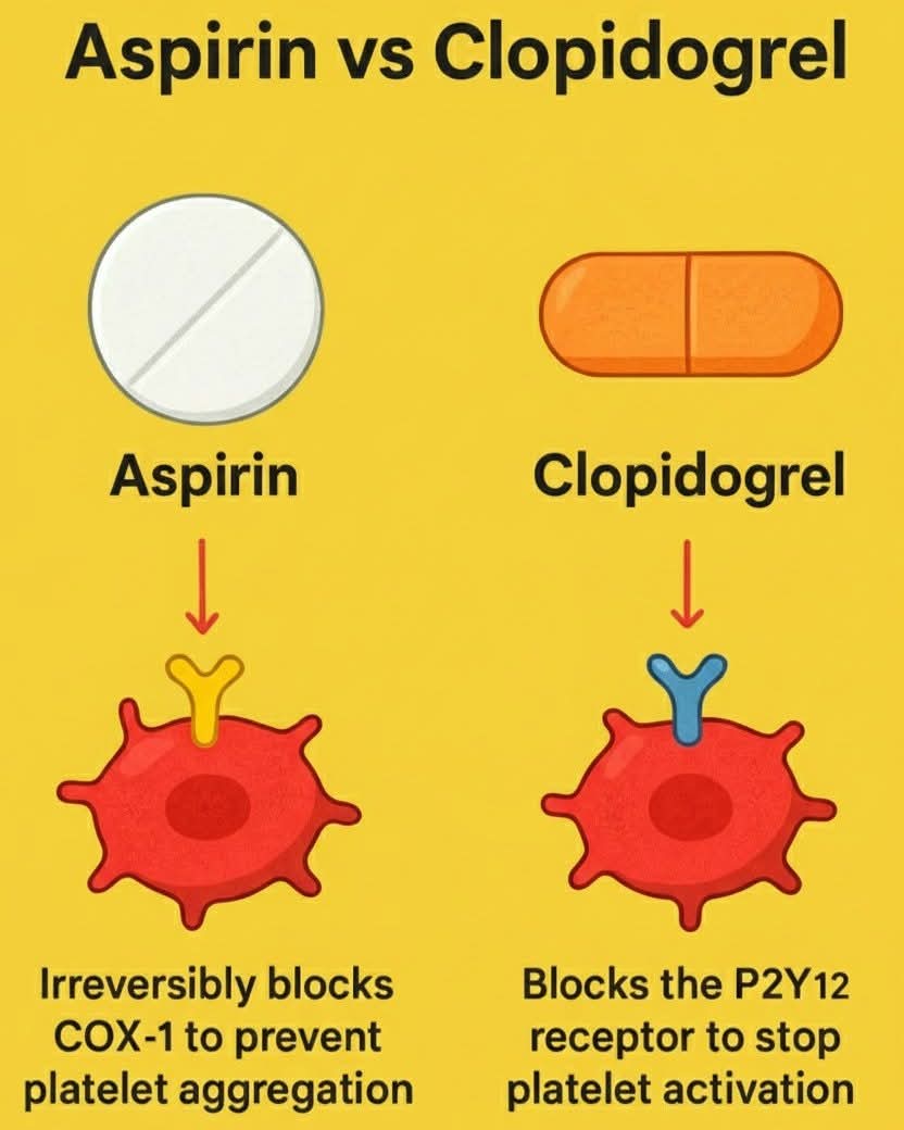 doctorinstaha's tweet photo. Why is clopidogrel not used with omeprazole?
A) Causes bleeding
B) CYP2C19 inhibition
C) Kidney toxicity
D) Allergy
#MCQ #MedicalQuiz #LearnOnX https://t.co/63OPeZzHWv