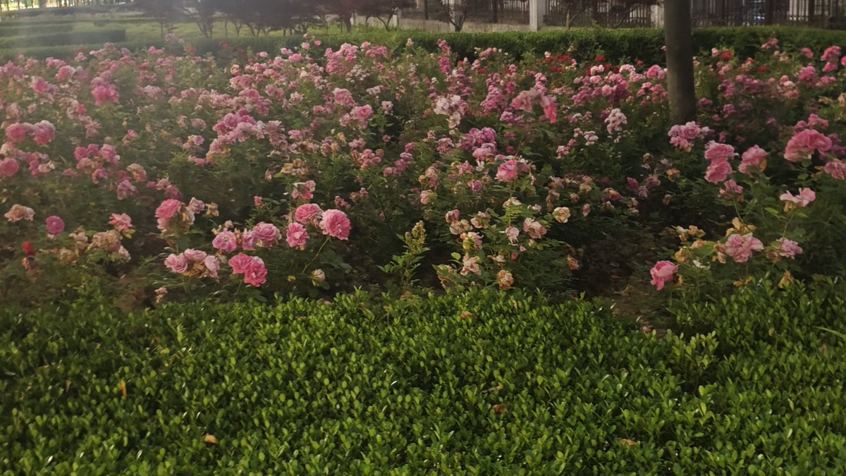 a1413024330's tweet photo. 即将离开的城市，也有些许留恋 https://t.co/ZTpxWTXgsl
