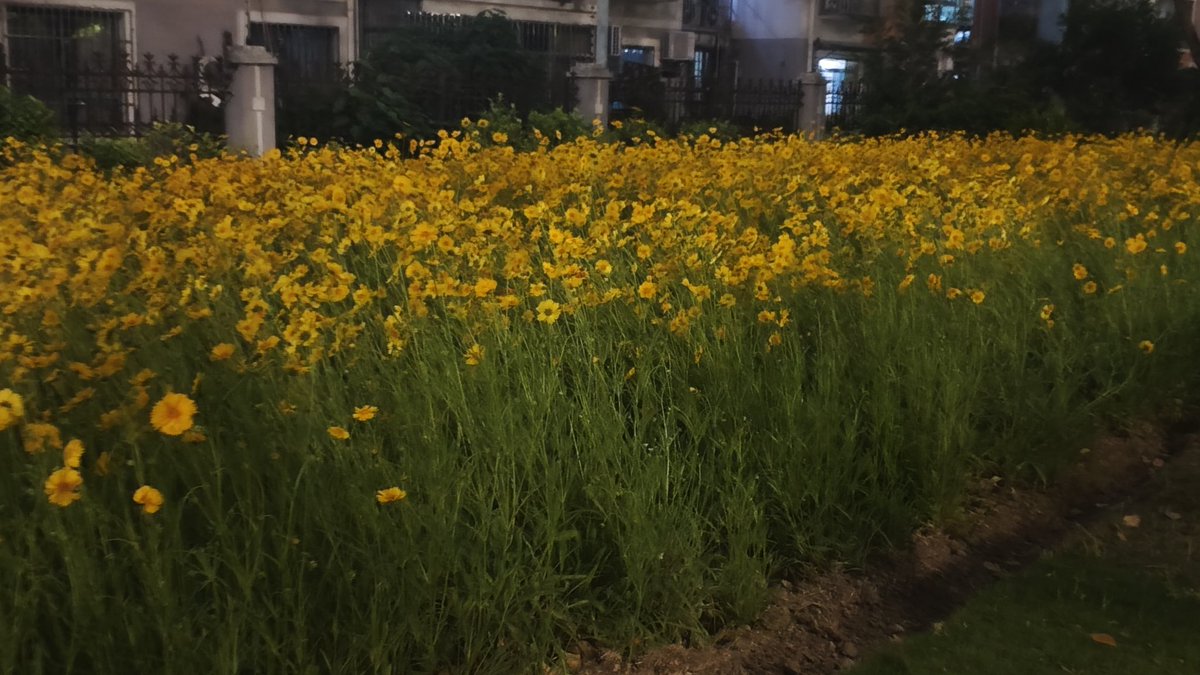 a1413024330's tweet photo. 即将离开的城市，也有些许留恋 https://t.co/ZTpxWTXgsl