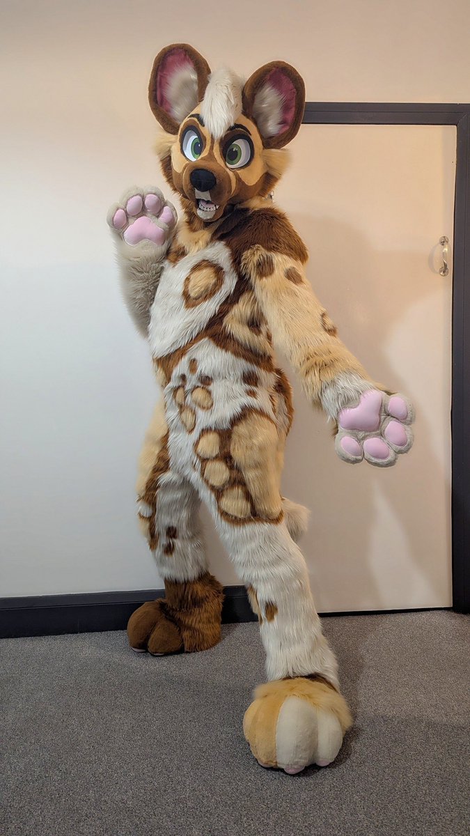 Kumo Fox tweet media