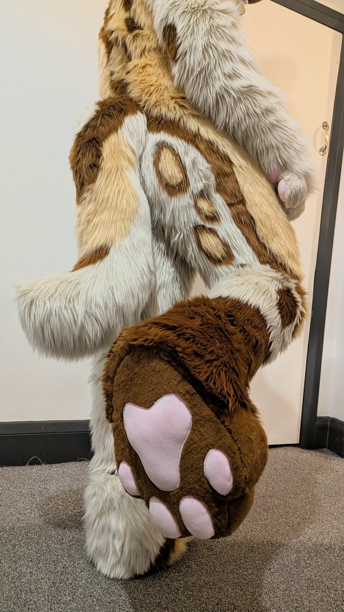 Kumo Fox tweet media