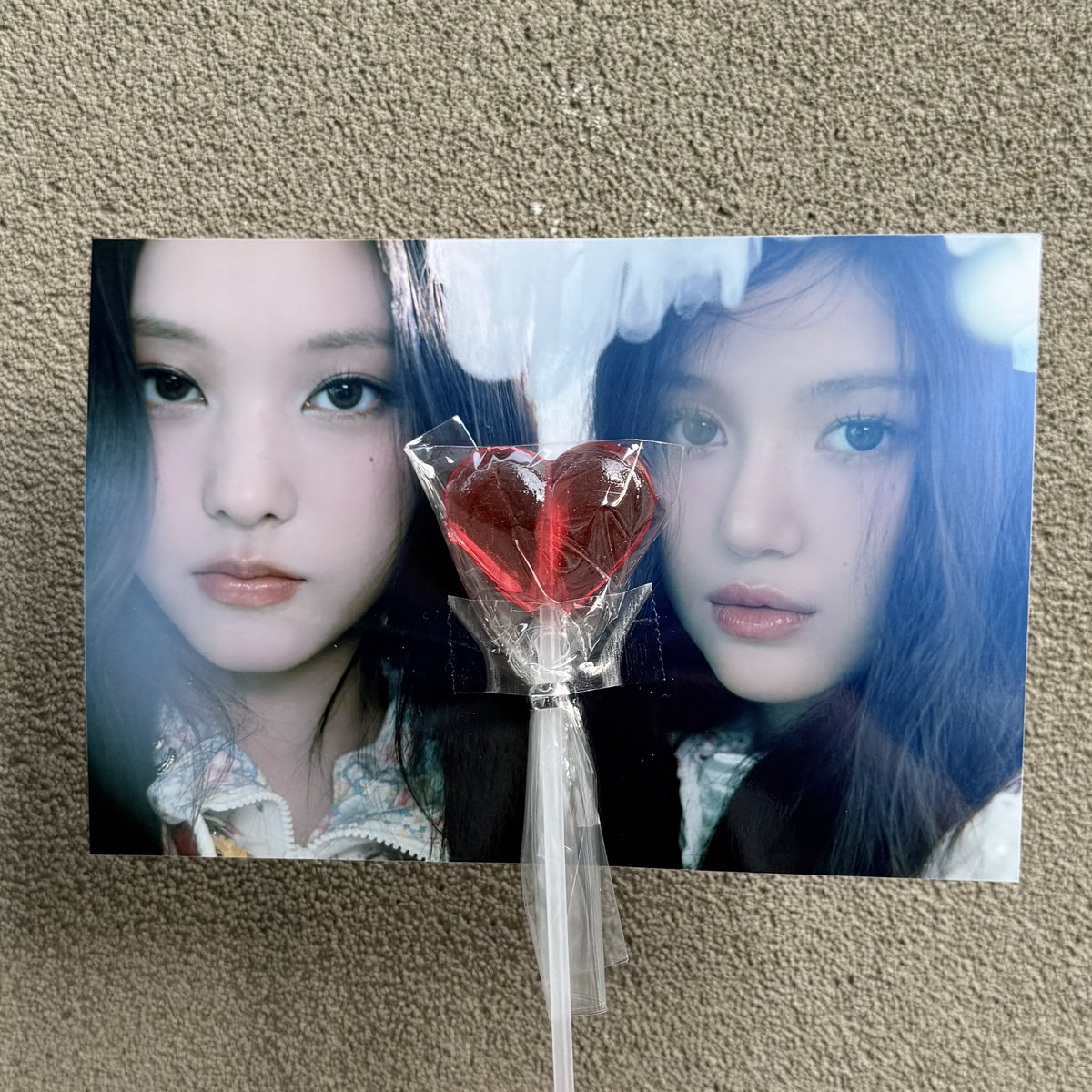 참깨 tweet media