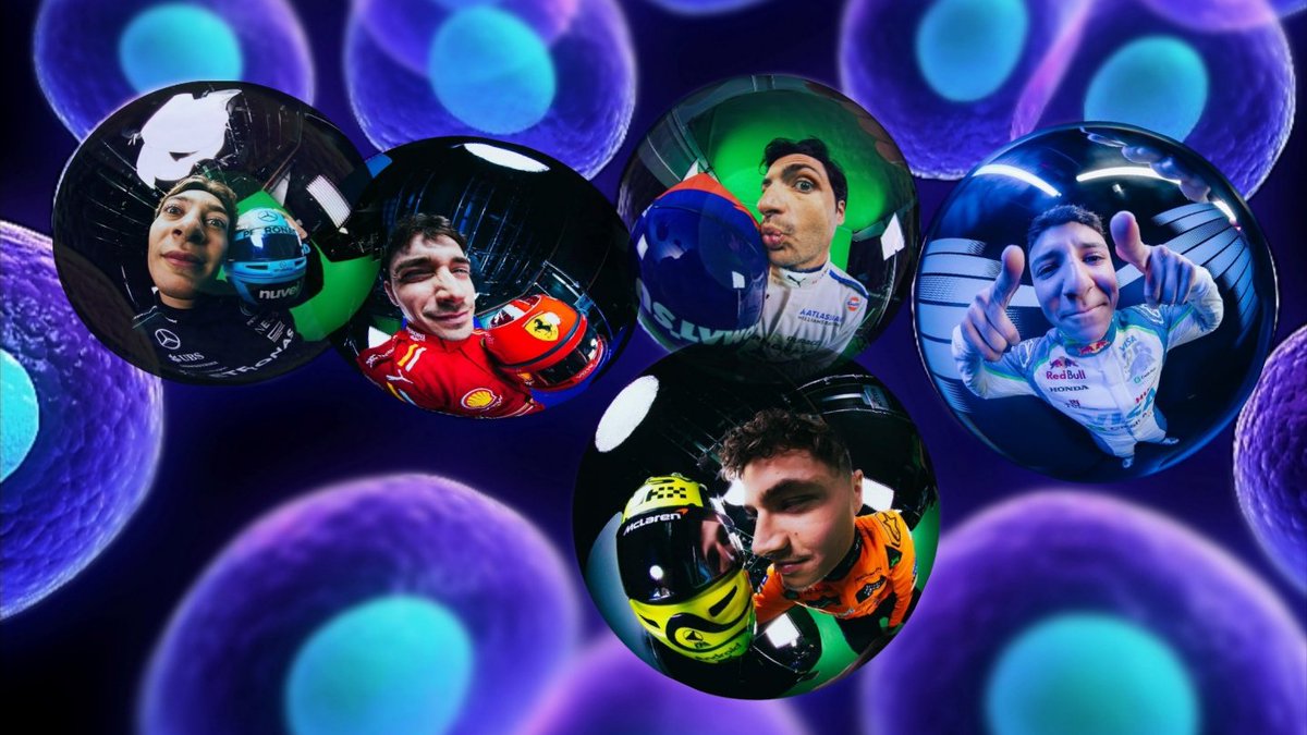 tiredtyres95's tweet photo. F1 drivers as cell types (mostly immune cells)

🧵a thread🧵 https://t.co/NusasuxqzE
