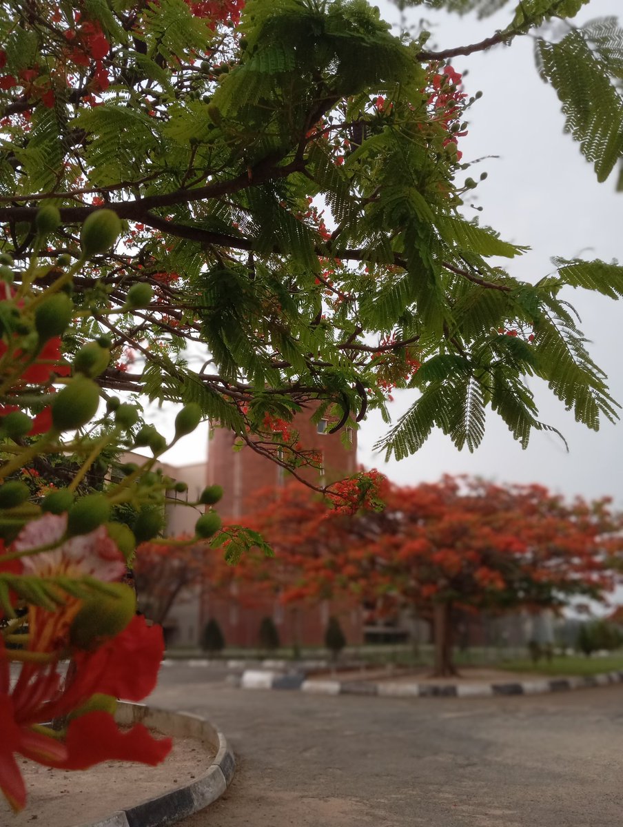 Unijos Noisemaker tweet media