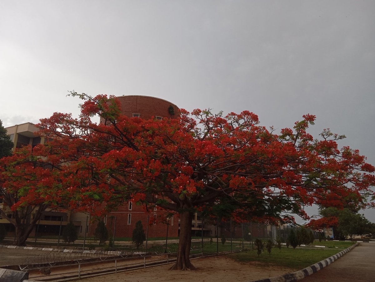 Unijos Noisemaker tweet media