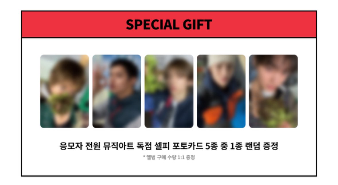 냥 store tweet media
