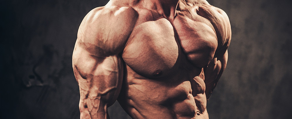 FitnessHacks101's tweet photo. Ready to build strong, defined shoulders? Check out The Ultimate Shoulder Day for tips and exercises to level up your training! 💪 Read more: https://t.co/y6KQJHhbPK

#ShoulderWorkout #StrengthTraining #UpperBody #FitnessTips #WorkoutChallenge #GetStronger #NoExcuses #FitFam #Wellness #HealthyLifestyle #Exercise #Motivation #FitnessJourney #TrainHard #FitnessHacks101 #GymMotivation #BodyweightWorkout #Active #Sweat #MuscleBuilding #StayActive